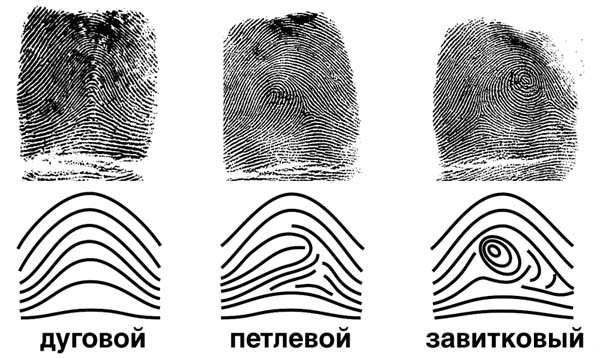 современной криминалистики отпечатки пальцев расследования преступления 