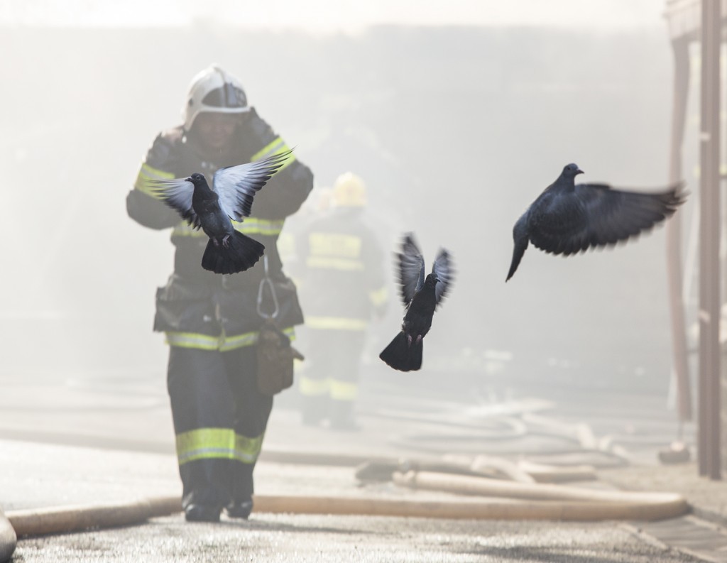 Пожарная безопасность: история одного фото