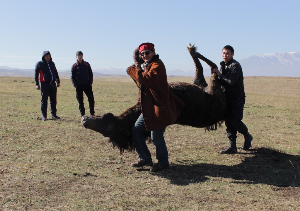 Каково это – снимать кино в жанре исторической реконструкции в Казахстане