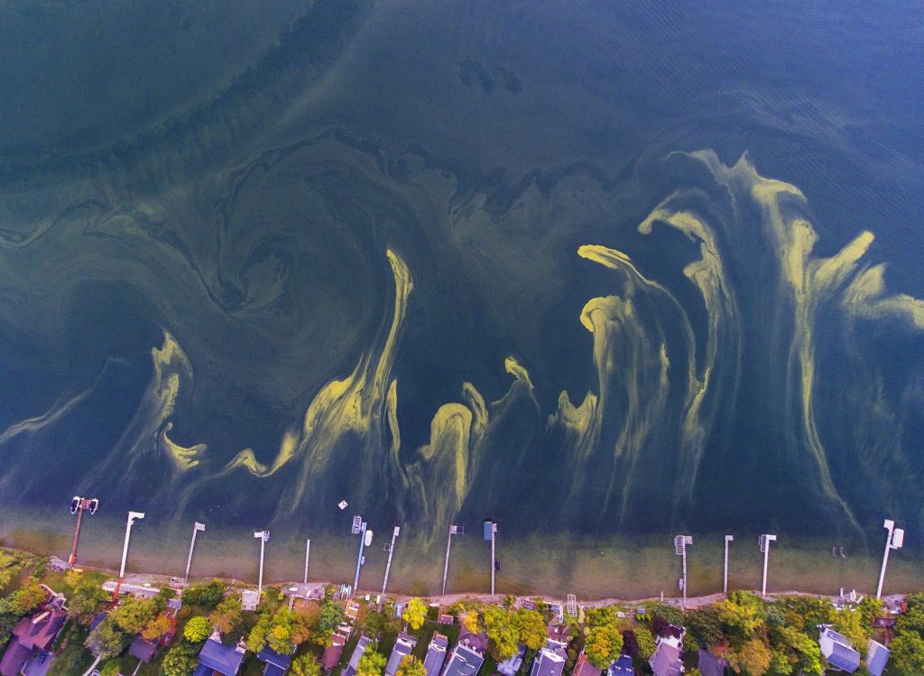 Нью-Йорк США озера Фингер цианобактерии