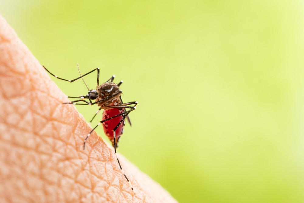 желтолихорадочные комары москито дабстеп Skrillex исследование наука ученые