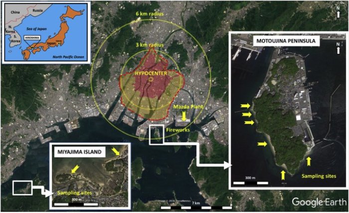 Обнаружено то, что осталось от Хиросимы после атомного взрыва