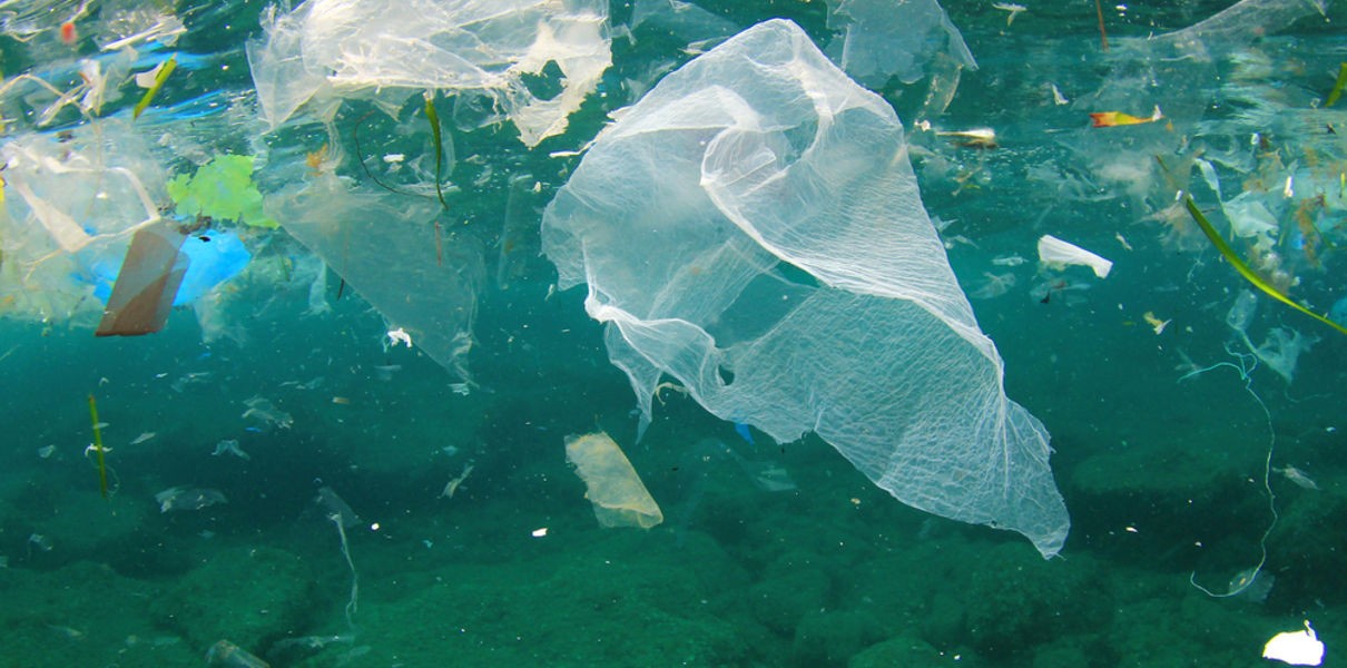 микробы научат есть пластик загрязнение океана