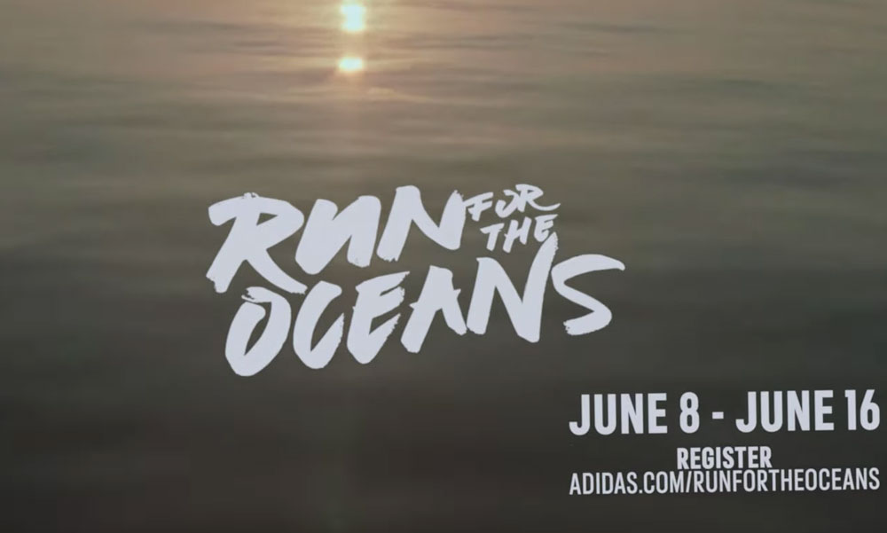 Run For The Ocean экозабег всемирный благотворительность природа экология