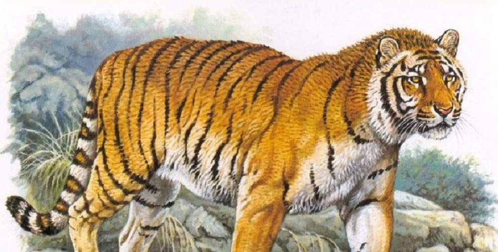 В Казахстан вернут каспийского тигра