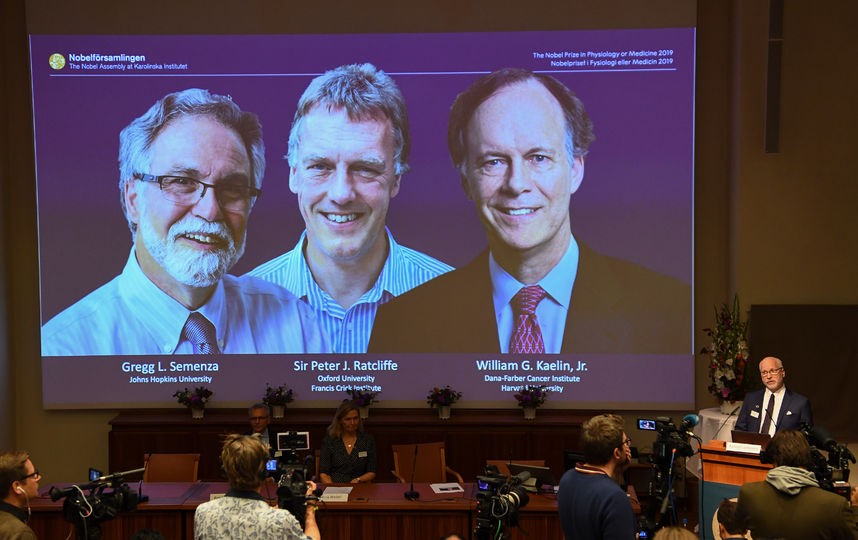Вручили Нобелевскую премию по медицине: открытие поможет в борьбе с раком