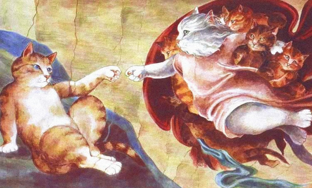 Микеланджело сотврение Адама кошки