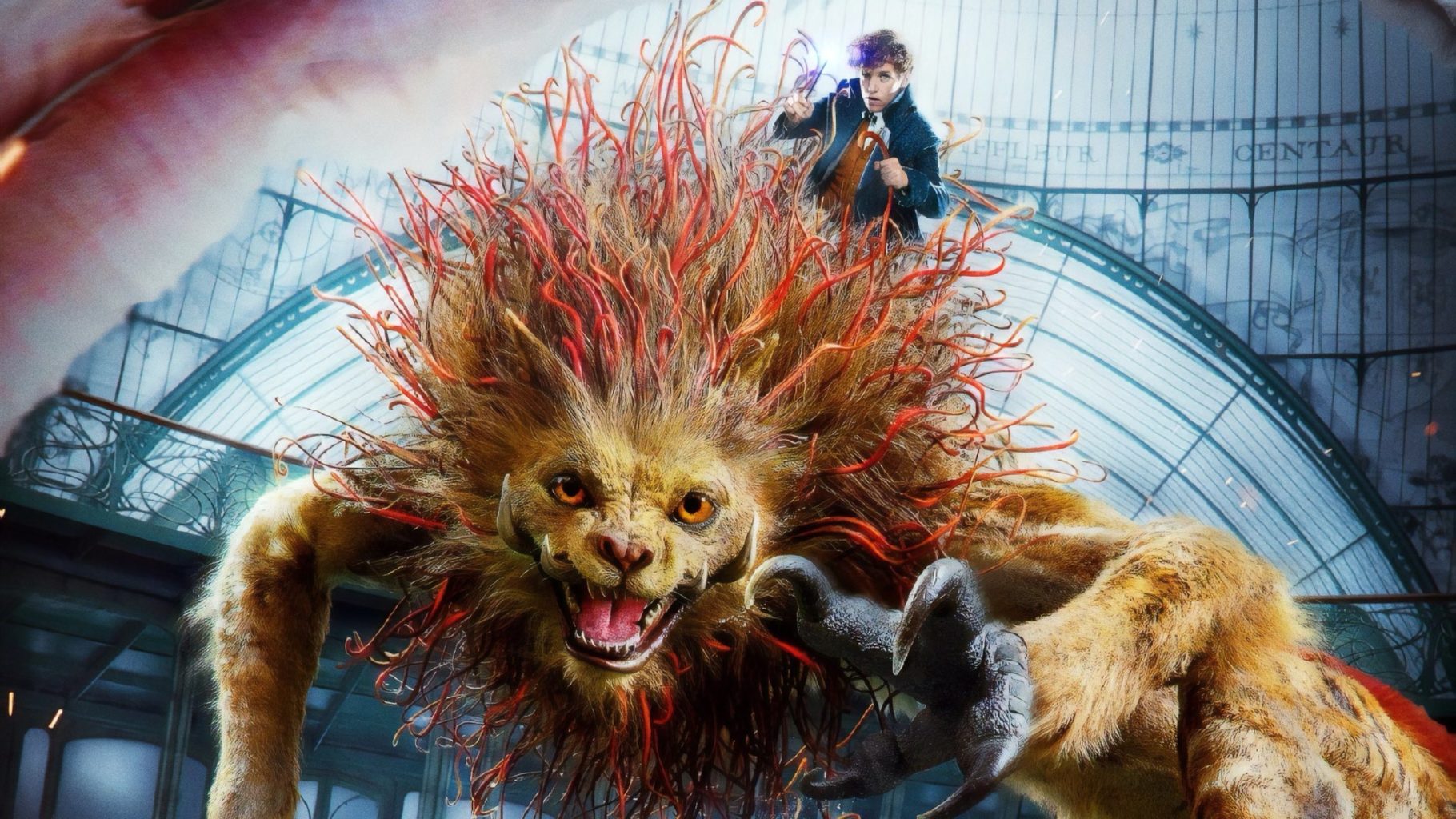 Фантастические  твари: британцы снимут фильм о волшебных животных из мира «Гарри Поттера»