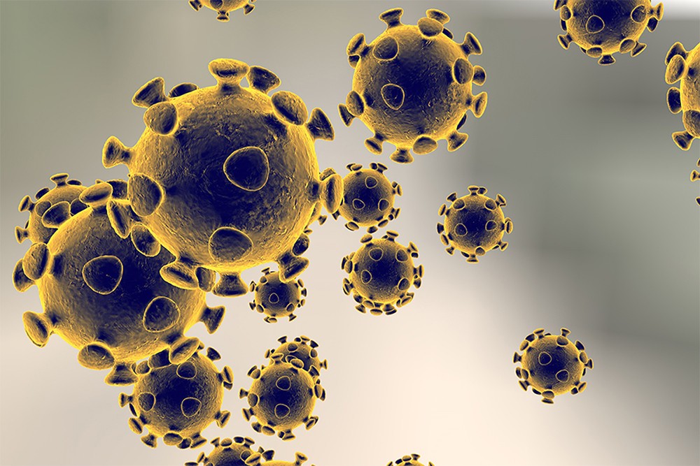 Как обещал санитарный врач: в Казахстане зафиксированы первые два случая коронавируса