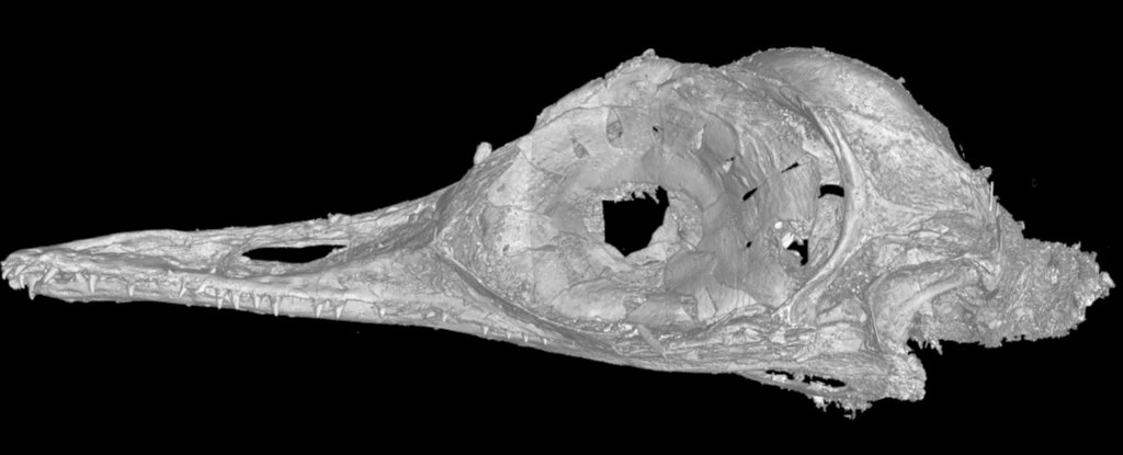 Самый крошечный динозавр был размером с колибри