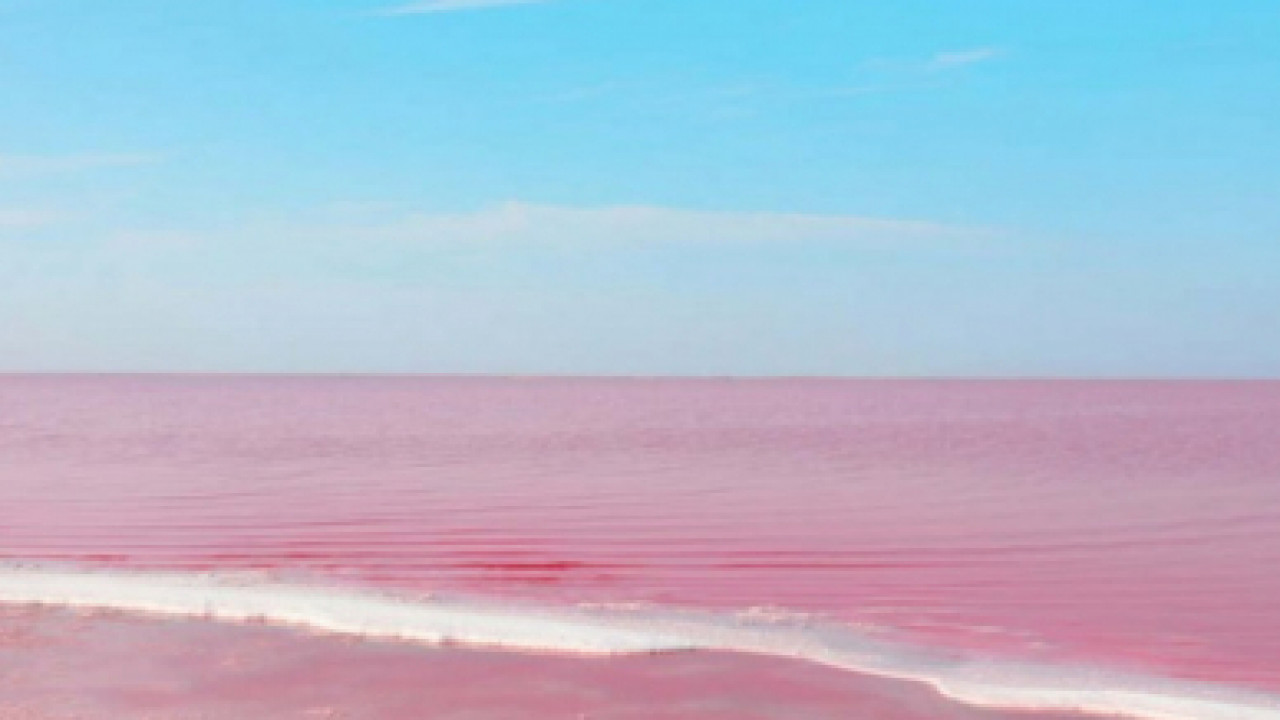 Чувство хозяина. От чего на самом деле пострадало розовое озеро Кобейтуз?