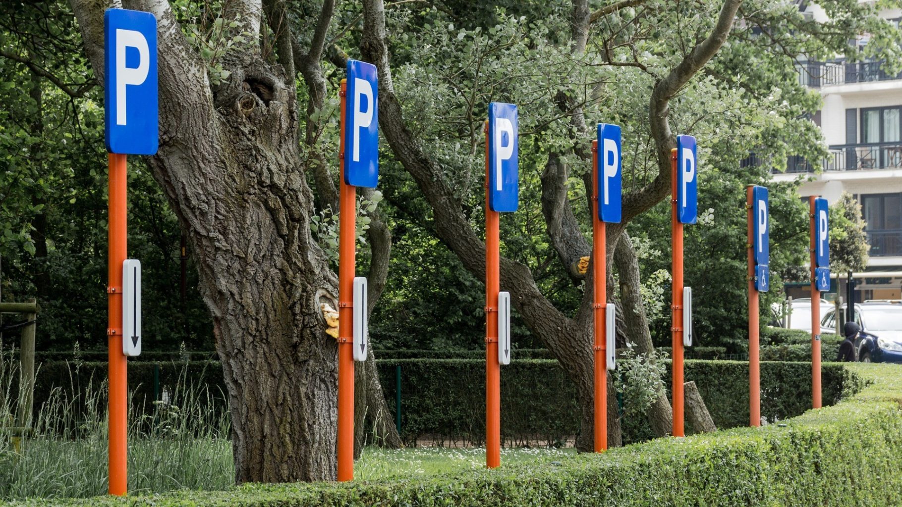 Платные парковки уберут в столице?