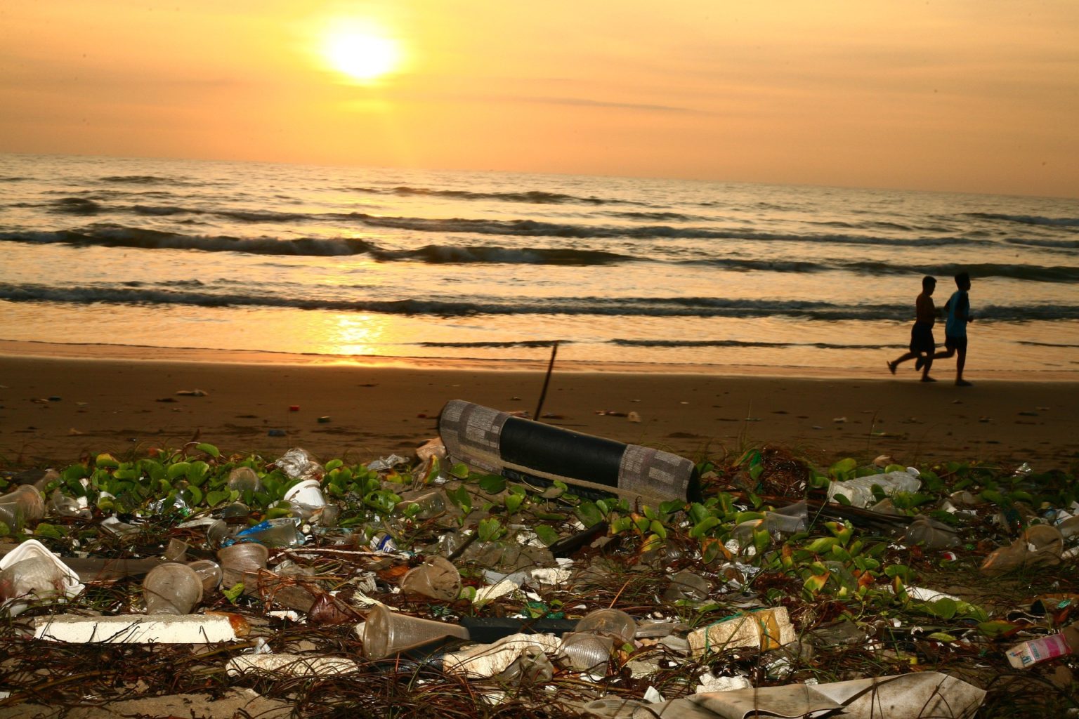 В Индийском океане построят курорт из мусора