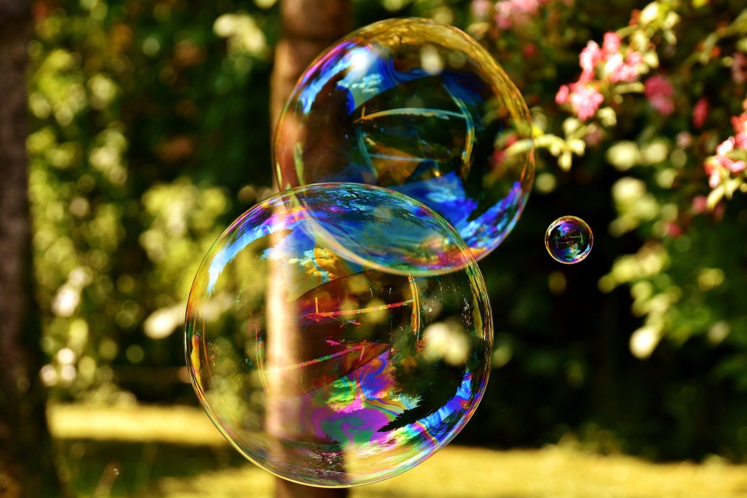 soap-bubble