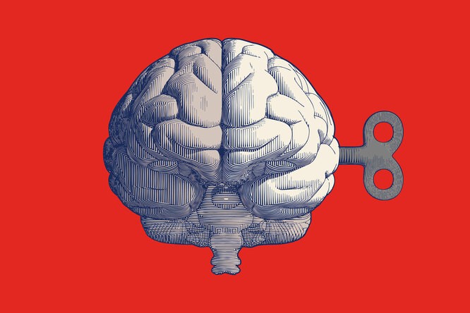 Взгляд изнутри: 5 бестселлеров о том, как работает наш мозг