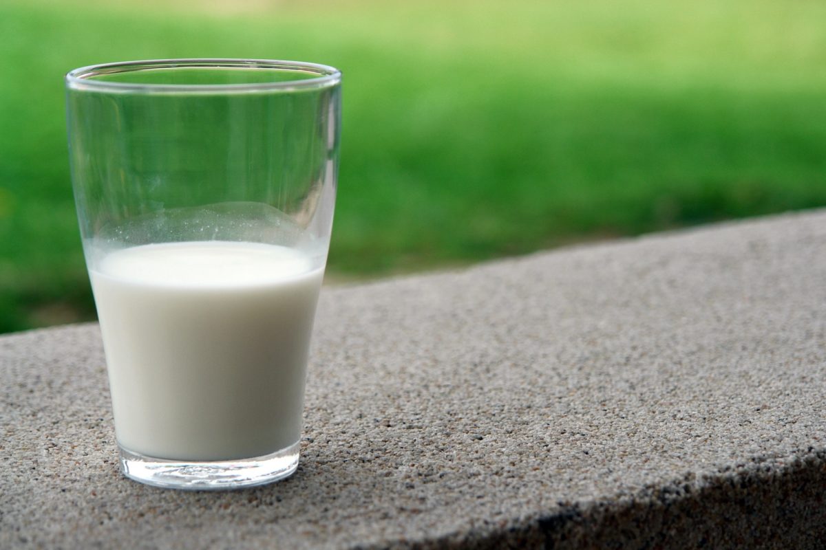 "Золотое" молоко: что известно о скандальном тендере о закупе молока за 14 млн тенге