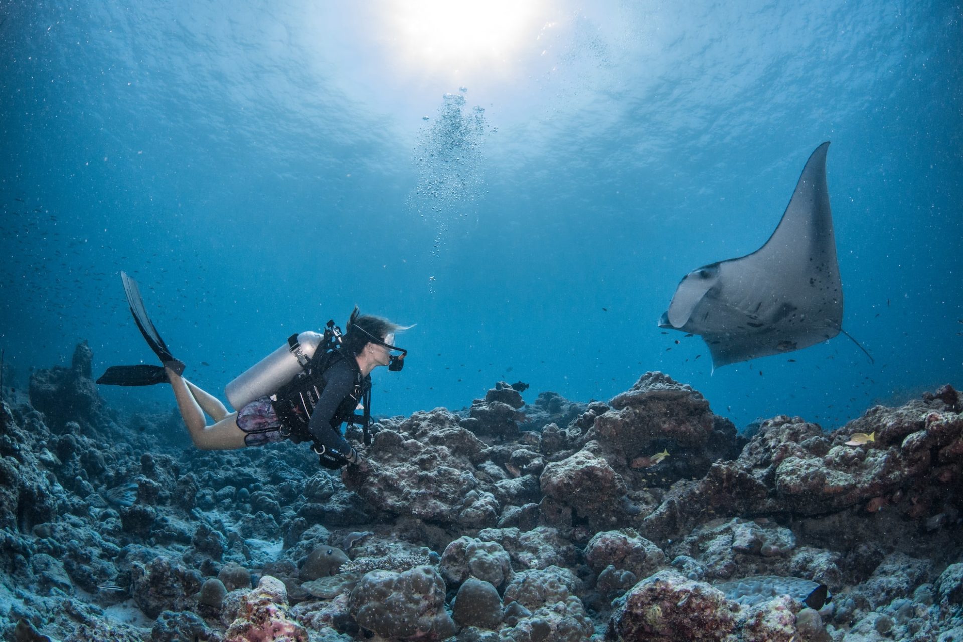 Курорт InterContinental Maldives запускает уникальную образовательно-развлекательную программу Manta Retreat