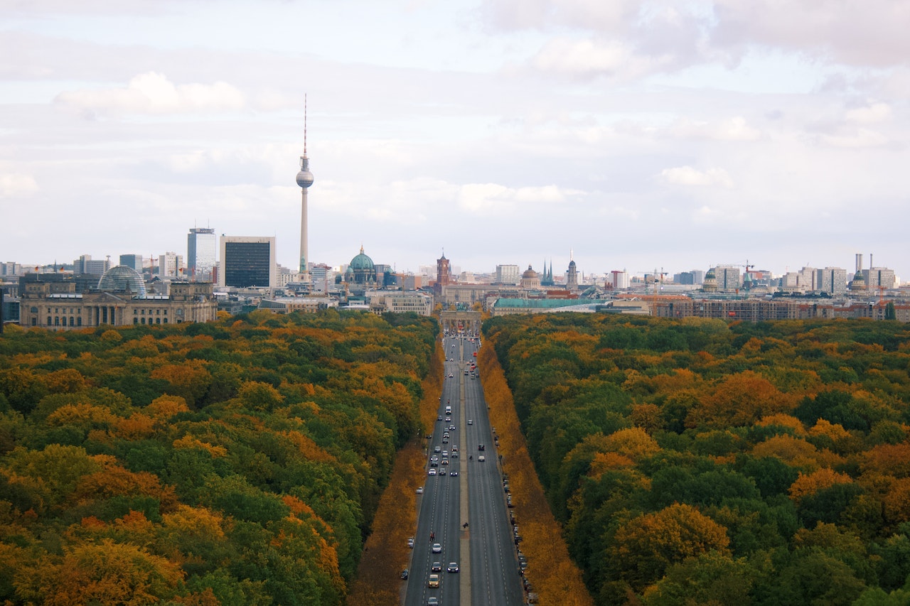 «Не замерзнуть в ближайшие месяцы». Жители Берлина рубят деревья в центральном парке
