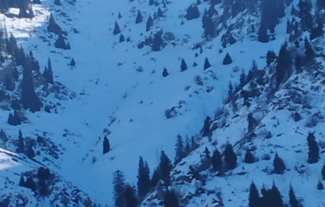 Лыжники-фрирайдеры спустили лавину в горах близ Алматы