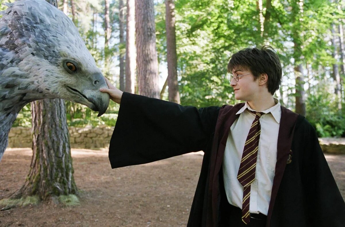 Warner Brothers начала работу над новым фильмом о Гарри Поттере