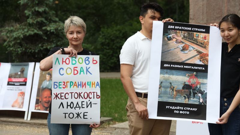 «Любовь собак безгранична, жестокость людей - тоже». В Алматы прошел митинг против жестокого обращения с животными