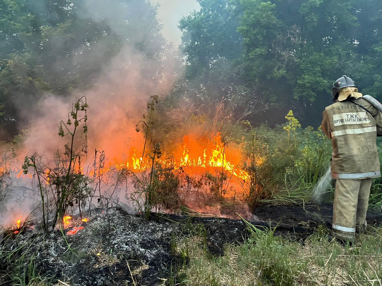 Пожар в Абае: потеряна связь с 14 лесниками