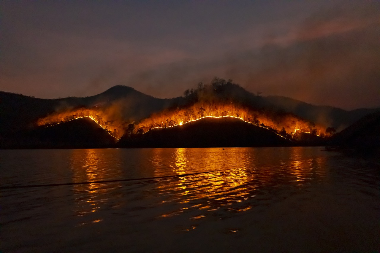 Самые масшатабные лесные пожары XXI века