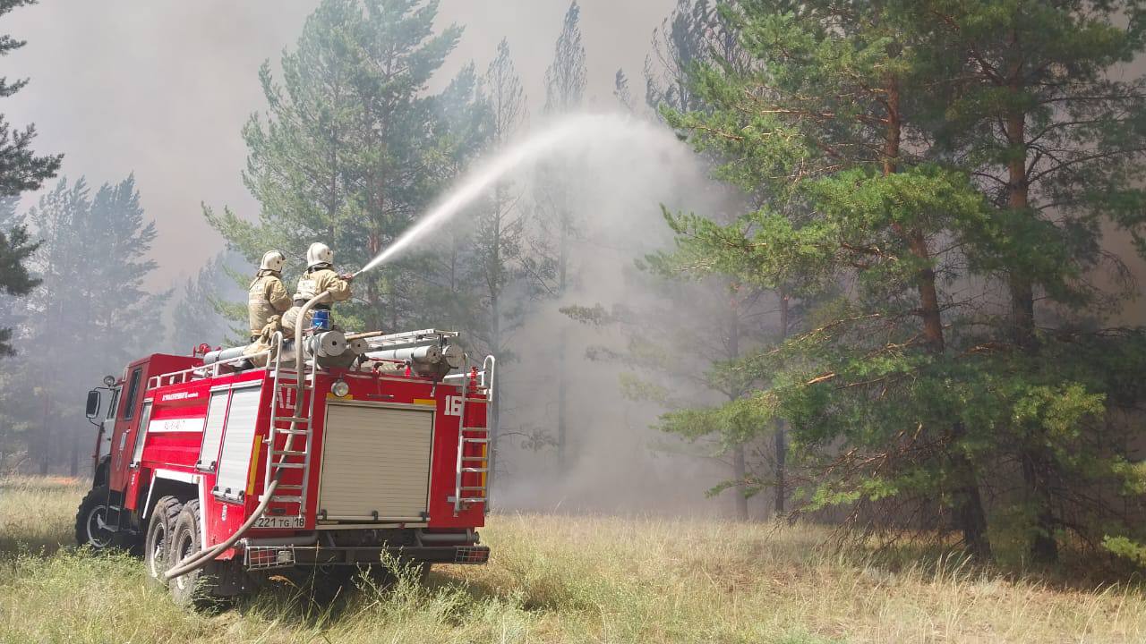 В Абайской области снова горит лес