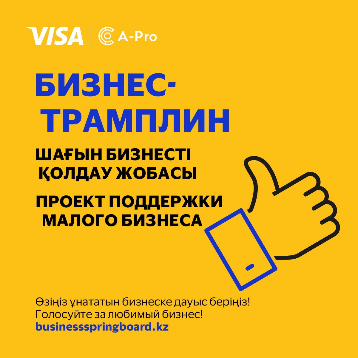 Стартовало голосование за лучший проект в конкурсе «Бизнес-трамплин» от Visa