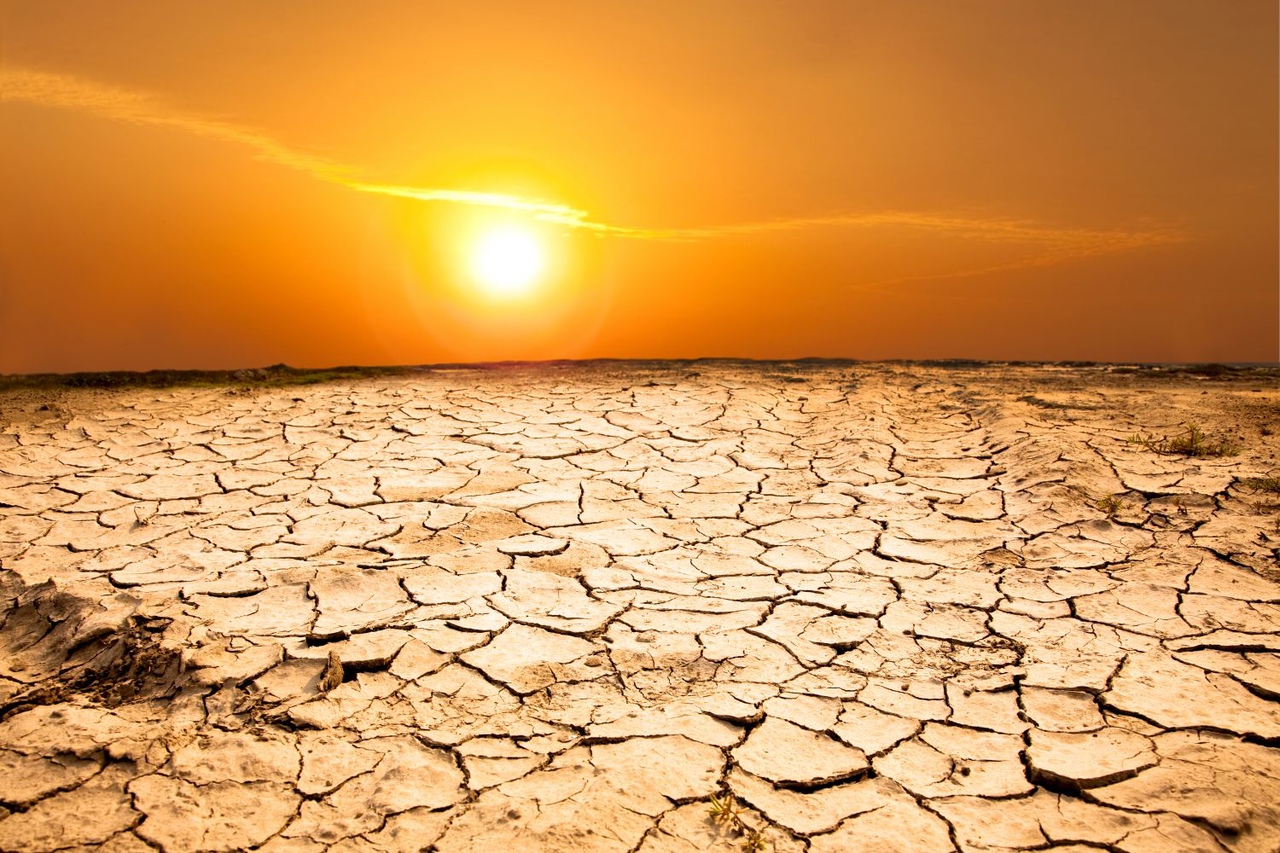 Июль 2023 года может стать самым жарким месяцем за всю историю наблюдений