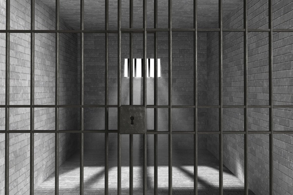 Небо в клетку. Казахстанского блогера приговорили к семи годам лишения свободы
