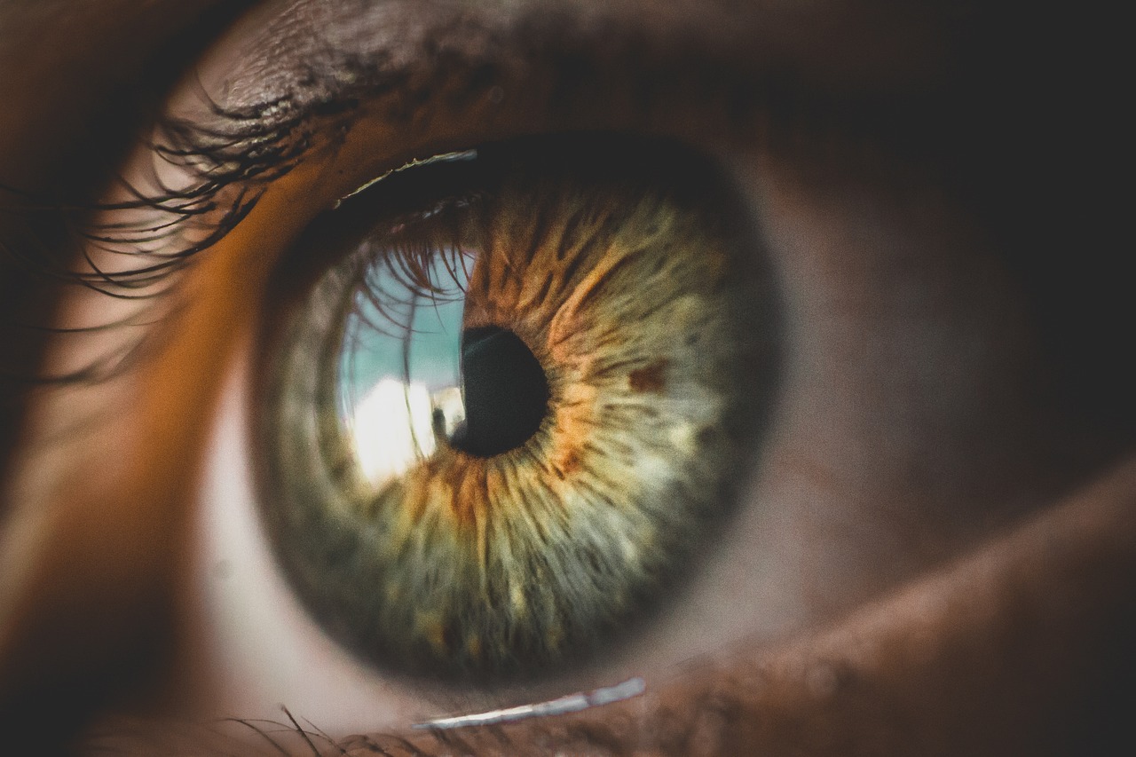 Не забудьте проверить зрение: появилась нейросеть, которая «специализируется» на глазах