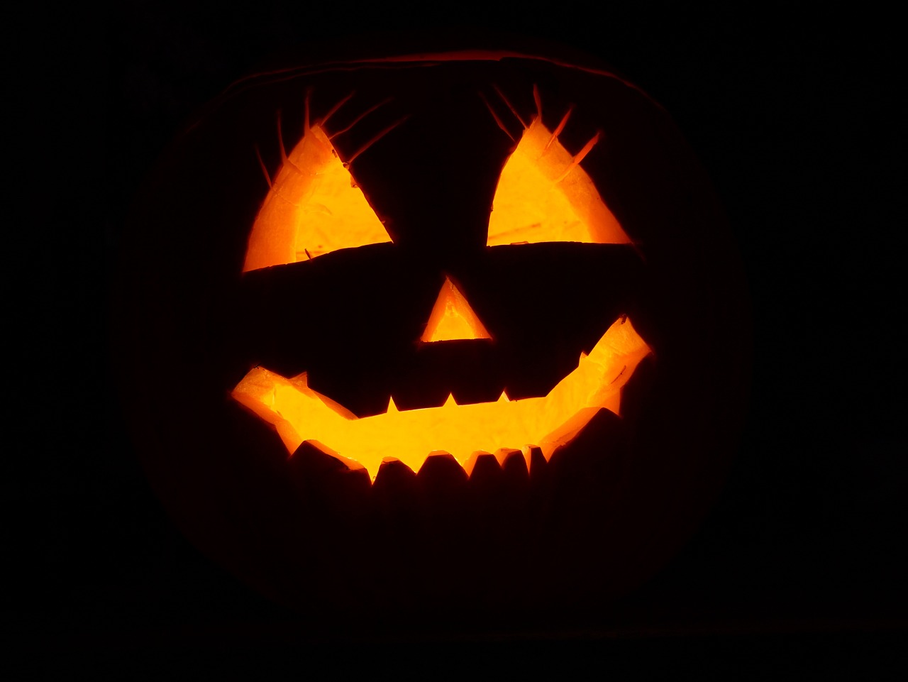 «Сладость или гадость»: что мы знаем о Хэллоуине