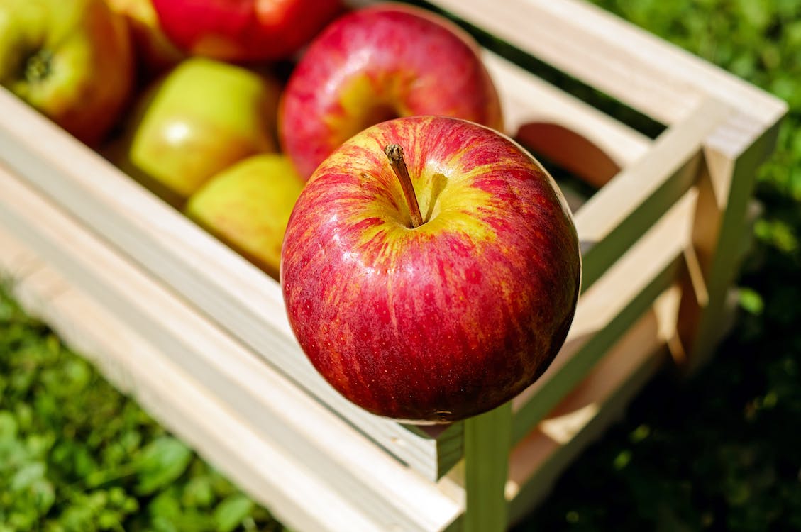 Сорт яблок апорт стал казахстанским брендом