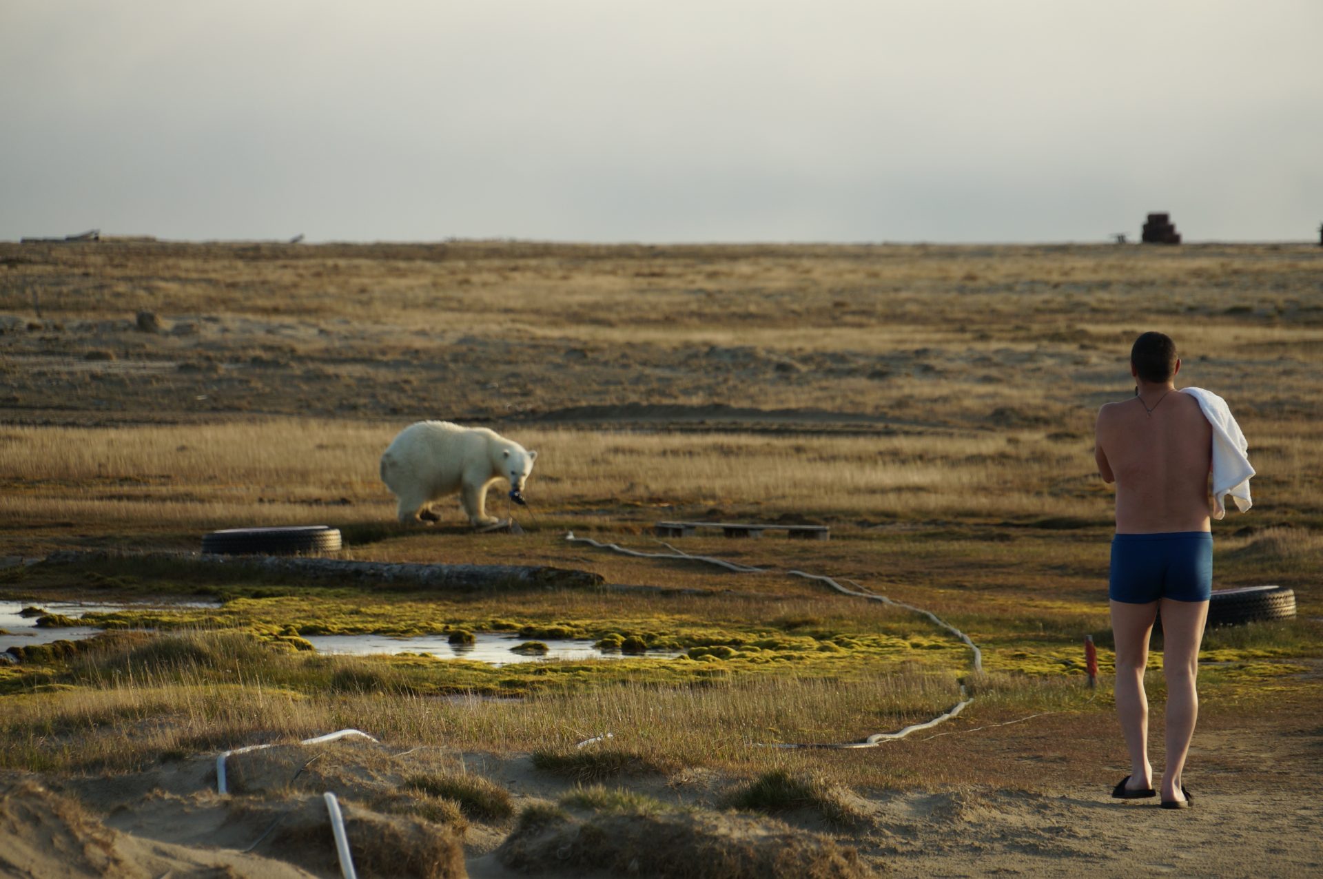 Каково это - отправиться в экологическую экспедицию в Арктику и встретиться с полярным медведем