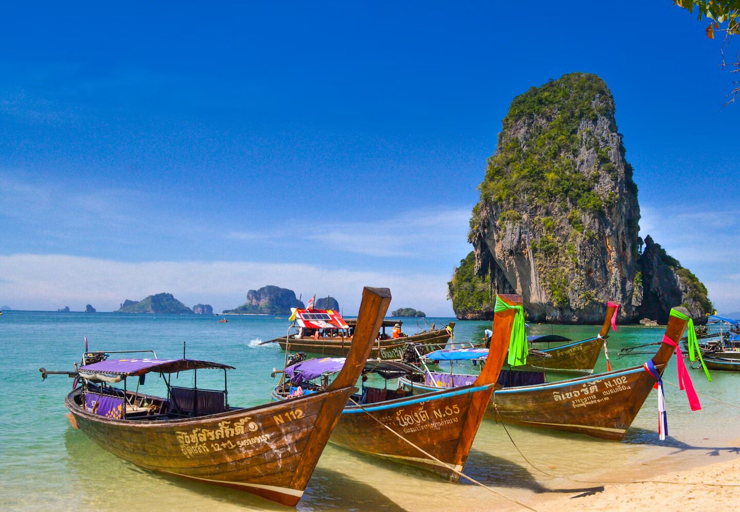 Вспышка сибирской язвы в Таиланде: Министерство туризма РК выпустило обращение