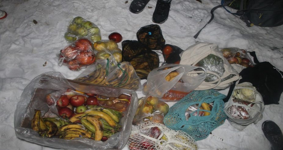 Поедатели отходов: новое движение среди казахстанцев