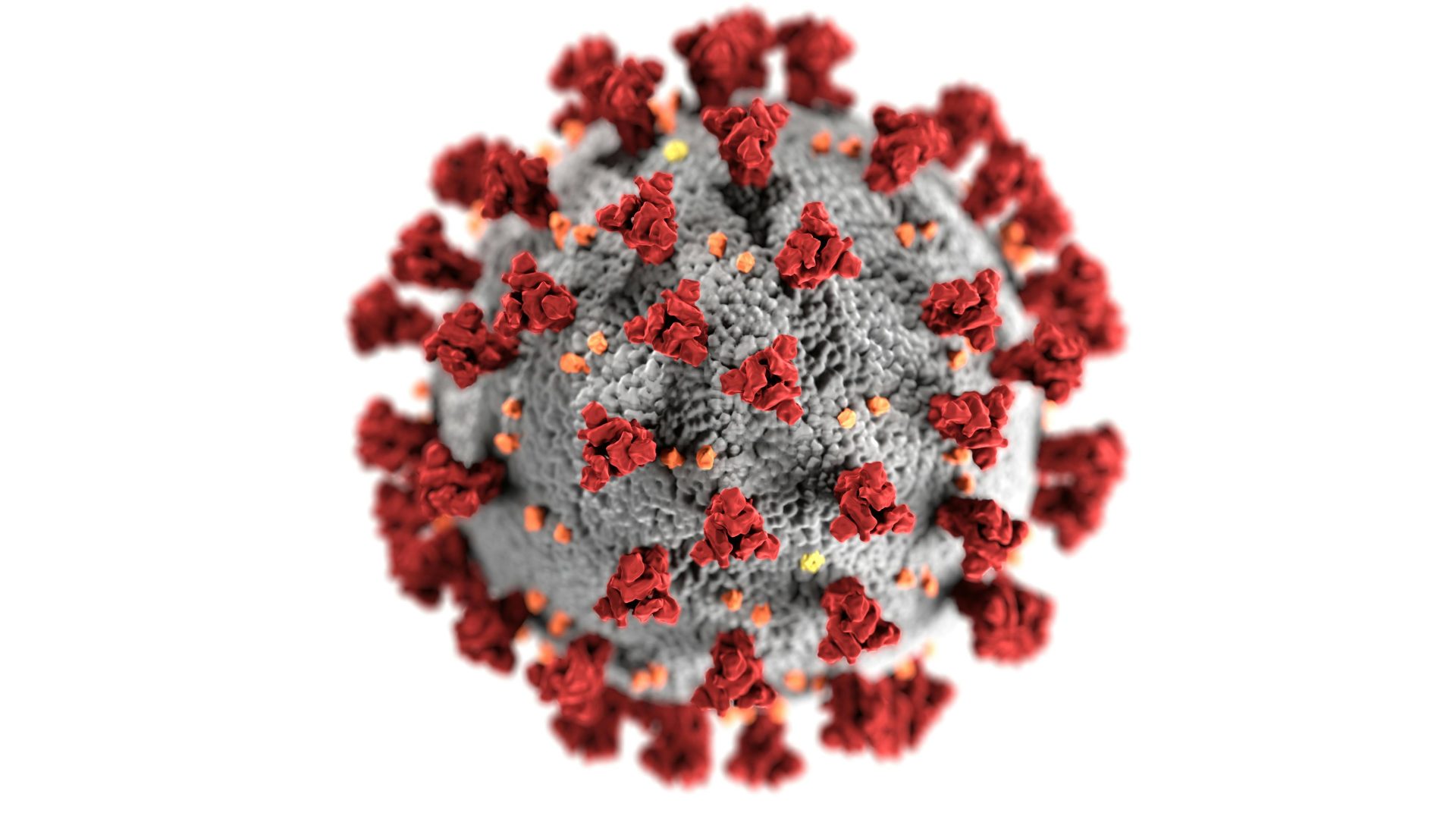 ВОЗ объявила, что коронавирус «перелечили» во всем мире