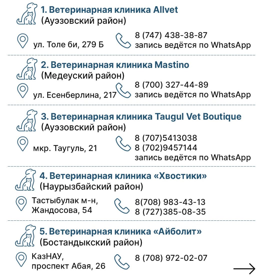 Где в Алматы можно бесплатно чипировать домашнего питомца
